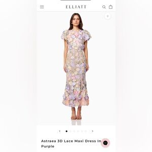 Floral Embroidered Maxi Dress